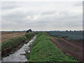 A tractor, a drain and a field of leeks