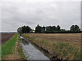 Sea level in the Cambridgeshire Fens