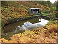 Remains of the Troedyrhiw lido