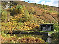 Remains of the Troedyrhiw lido