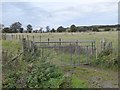 Pasture near Newsham Bridge