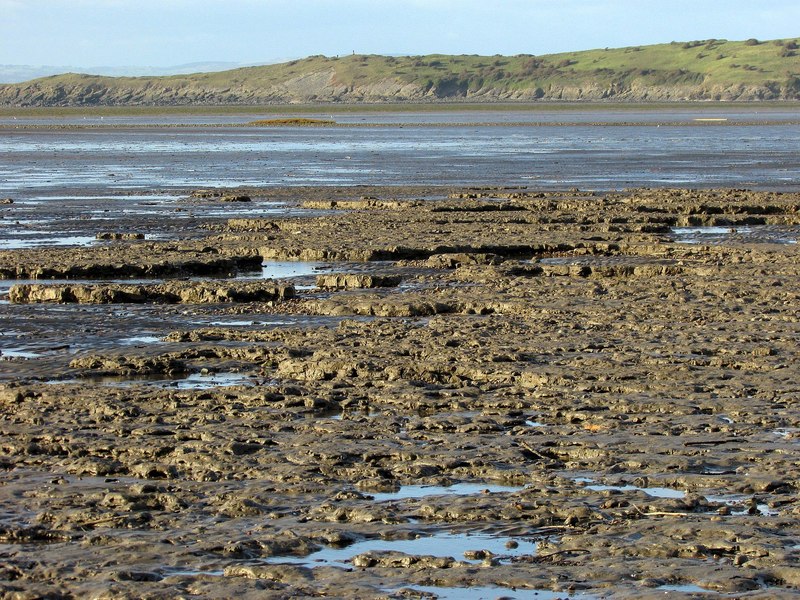 Mud at Sand Bay © Derek Harper :: Geograph Britain and Ireland