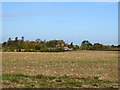 View north from Old Heath Road