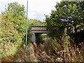 SJ8352 : Path under railway in Bathpool Park by Jonathan Hutchins