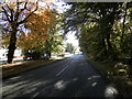 Unclassified road at Edzell Woods