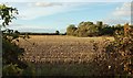 Stubble field by Lower Norton Lane