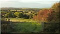 Field and trees, Norton