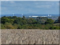 Countryside view near Markfield Road