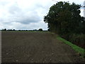 Field and mature hedgerow