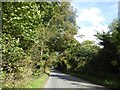 A4112 in woodland at Stockton Cross