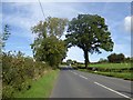 A4112 at Hopnall Way east of Kimbolton