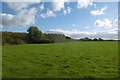 Pasture off Longmoor Lane