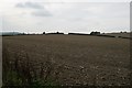 Ploughed field near Bettiscombe