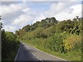 Sheet Road and the woodland beside the Ledwyche Brook