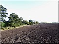 Farmland off Eardley End Road