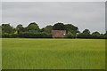 House across a field