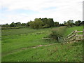 Poorly drained meadow