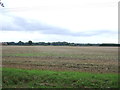 Flat field, Besthorpe