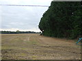 Stubble field near Sponge Farm