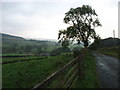 Farmland near Leadgate