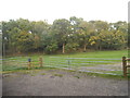 Field by School Lane, Bricket Wood