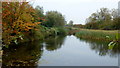 Coombe Hill Canal, 6