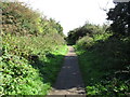 Footpath to Lydney Dock