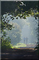 Bridleway near Westwoodside