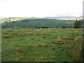 Pasture above Daddry Shield