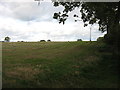 NY4538 : Farmland near Hutton End by David Purchase