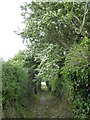 Footpath next to Treloan Farm