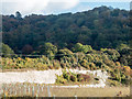 Looking across the Chalk Pit near Chinnor, Oxfordshire