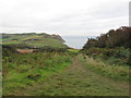 Coastal path near Seatown up to Golden Cap