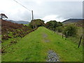 An open stretch alongside Moel Bach y Rhaeadr