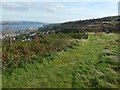 Path on Knocknairs Hill