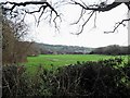 East View Terrace and Sedlescombe Village