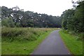 Path leading to Burgess Road