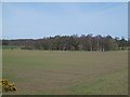 Arable land, Newdyke