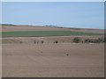 Spring seedbed, Letham