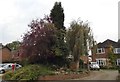 House and garden on The Street, Capel