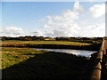 River Isla to the north of Coupar Angus