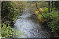 River Ebbw south of Chapel Farm Terrace