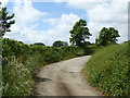 The old road at Tredellans