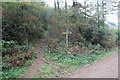 Path up to Mynyddislwyn from Cwmcarn