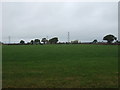 Grazing west of Minshill New Road