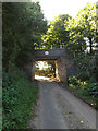 TG0723 : Old Lane & Marrott's Way Bridge by Geographer