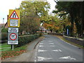 Approaching weak bridge on Warmingham Road, Warmingham