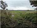 Farmland above Tyley Bottom