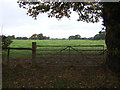 Field entrance off Plant Lane, Moston Green