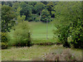 Pasture and woodland west of Carrog in Denbighshire